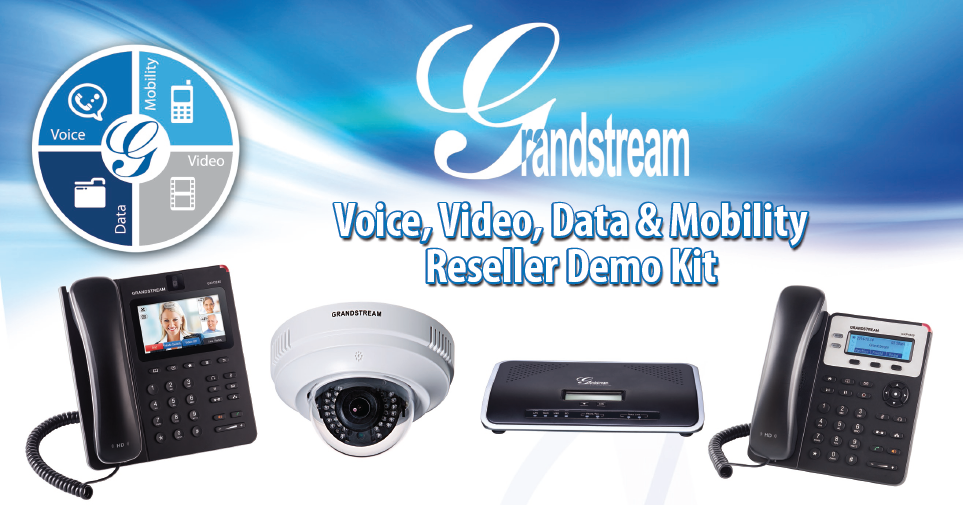 Grandstream VoIP IP Camera Demo Kit
