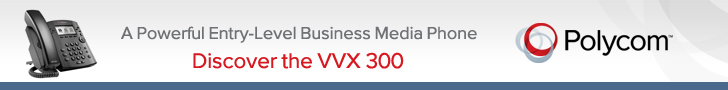 Polycom VVX 300