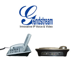 Grandstream GXV3006