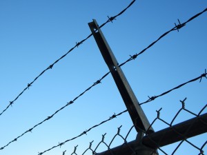 barbed-wire-482608_1920