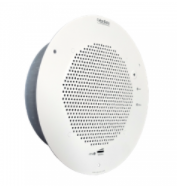 Zoom IP Paging