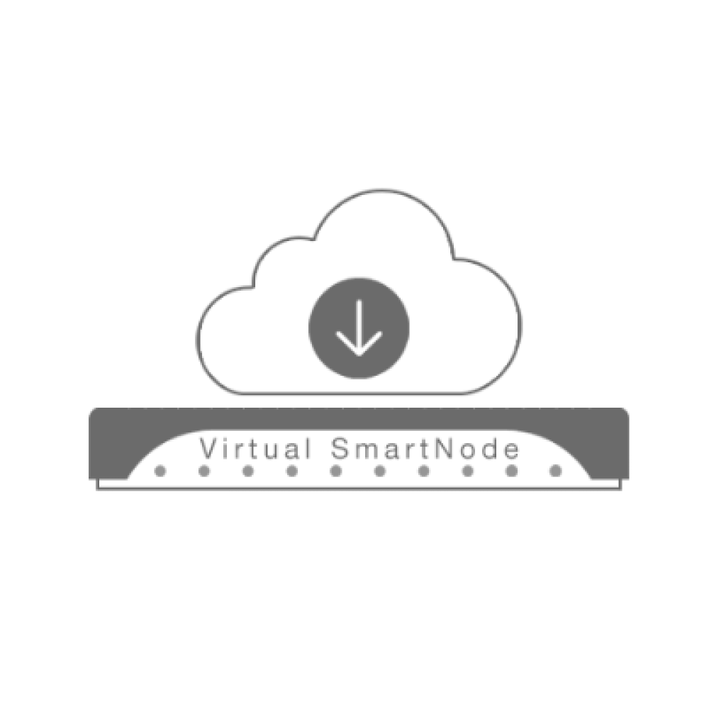 Patton Virtual SmartNode