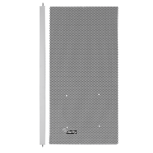 Analog Speakers (Non-IP)