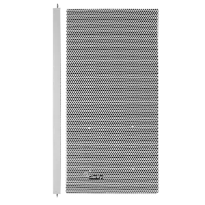 Analog Speakers (Non-IP)