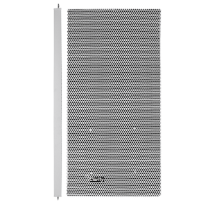 Analog Speakers (Non-IP)