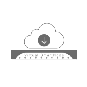 Patton Virtual SmartNode