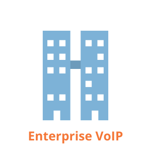 Enterprise VoIP